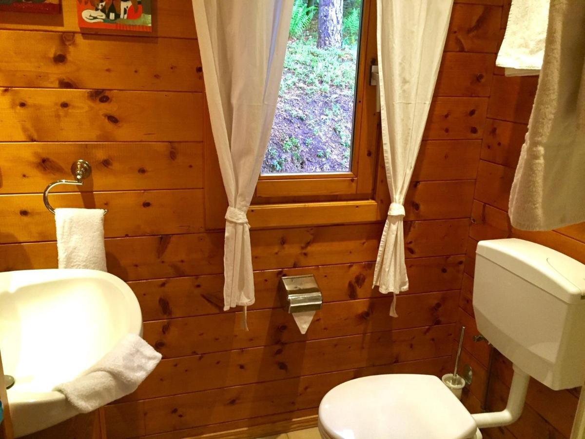Cosy Chalet With Private Sauna In Bousseviller Kamer foto