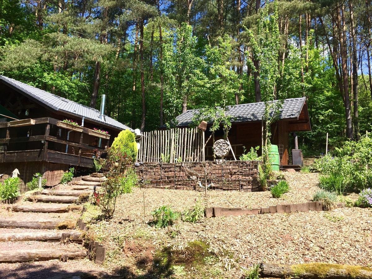 Cosy Chalet With Private Sauna In Bousseviller Buitenkant foto